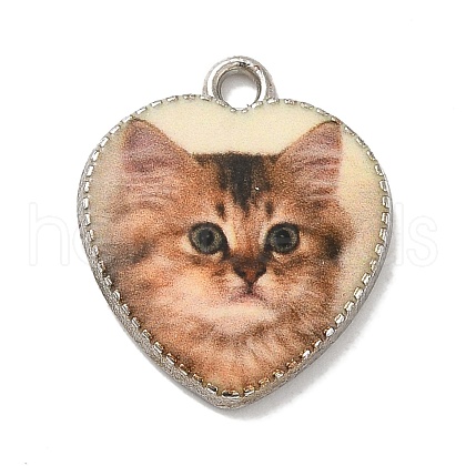 Alloy Pendant FIND-H045-08P-03-1