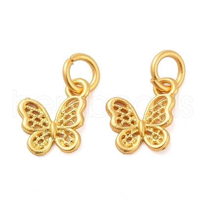 Alloy Charms ENAM-M008-21G-1