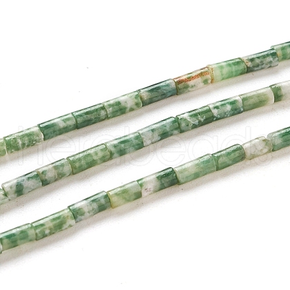 Natural Green Spot Jasper Beads Strands G-G783-11-1