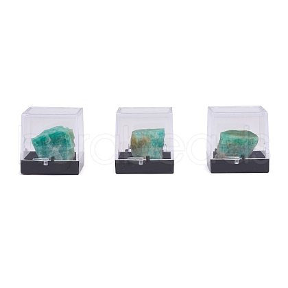 Nuggets Natural Amazonite DJEW-F011-03F-1