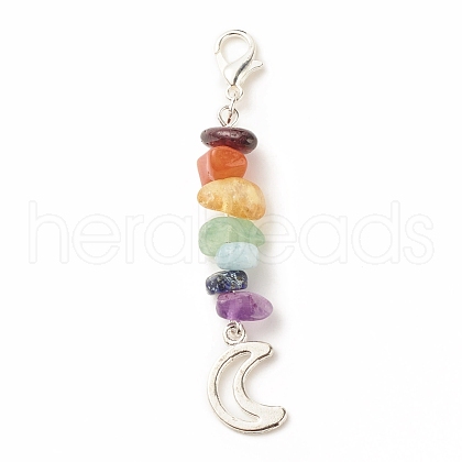 Chakra Theme Natural Gemstone Pendant Decorations HJEW-JM00645-02-1