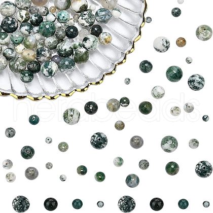  120Pcs 4 Style Natural Tree Agate Beads G-NB0002-71-1