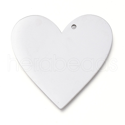 Tarnish Resistant 304 Stainless Steel Pendants STAS-L238-098A-P-1