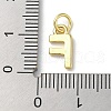 Rack Plating Brass Pendants KK-P245-06G-F-3