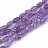Natural Amethyst Beads Strands G-T064-43A-1
