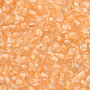 8/0 Transparent Inside Colours Glass Seed Beads SEED-R051-09B-02-2