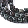 Natural Seraphinite Beads Strands G-L537-014-2