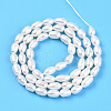 Natural Cultured Freshwater Pearl Beads Strands PEAR-N012-04M-3