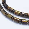 Natural Tiger Eye Beads Strands G-E444-20-3