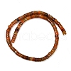Dyed Natural Agate Beads Strands G-U030-B01-06-3