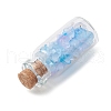 12Pcs Glass Wishing Bottles  Display Decoration PALLOY-JF03693-5