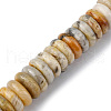 Natural Crazy Agate Beads Strands G-F743-06J-1