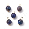 Dyed Natural Rainbow Tiger Eye Round Charms PALLOY-JF03498-01-1