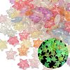 Luminous Transparent Acrylic Beads OACR-B031-17-1