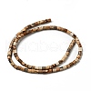 Natural Picture Jasper Beads Strands G-I326-09-3