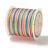 50 Yards Segment Dyed Nylon Chinese Knot Cord NWIR-C003-01A-22-2