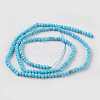 Natural Howlite Beads Strands TURQ-K004-06A-2