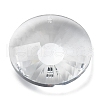 Transparent Glass Pendants GLAA-R223-08A-1