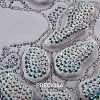 Preciosa® Crystal Hotfix Flatback Stones Y-PRC-HSS16-00030-209-4