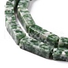 Natural Green Spot Jasper Beads Strands G-G837-24-3