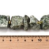 Raw Rough Natural Green Spot Jasper Beads Strands G-Z087-B16-5