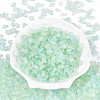Frosted Glass Seed Beads SEED-N008-05F-2