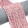 Natural Rhodonite Beads Strands G-P575-B08-4x2mm-1