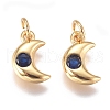 Brass Micro Pave Cubic Zirconia Charms ZIRC-G168-56G-03-1