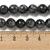 Natural Larvikite Beads Strands G-E571-A09-02-5