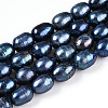 Natural Cultured Freshwater Pearl Beads Strands PEAR-N012-08L-01-2