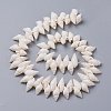 Natural Spiral Shell Beads Strands X-BSHE-I016-07-2