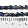 Natural Sodalite Beads Strands G-Z006-A39-5