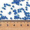Baking Paint Glass Seed Beads SEED-S042-15A-18-4