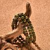 Natural Unakite Bead Stretch Bracelets BJEW-K212-A-006-5