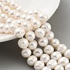 Natural Cultured Freshwater Pearl Beads Strands PEAR-C003-14F-1