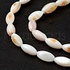 Natural Freshwater Shell Dyed Beads Strands SHEL-M018-13-13-4