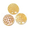 Natural Yellow Shell Cabochons SSHEL-N038-02C-1