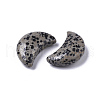 Mother's Day Gifts Moon Shape Natural  Dalmatian Jasper Healing Crystal Pocket Palm Stones X-G-T132-001-2