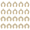 SUPERFINDINGS 20Pcs 2 Style Rack Plating Alloy Pendants FIND-FH0006-66-1