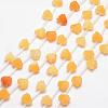 Gemstone Beads G-O156-A-M-2