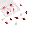 15Pcs 3 Colors Resin Pendants RESI-CJ0001-129-1