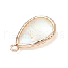Natural Paua Shell Teardrop Pendants PALLOY-JF03762-03-4