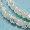Natural White Shell Dyed Beads Strands BSHE-Z005-03G-3