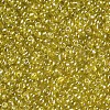 Glass Seed Beads SEED-A006-2mm-110-2