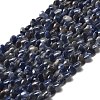 Natural Sodalite Beads Strands G-P575-C15-6mm-2