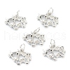 Brass Clear Cubic Zirconia Charms ZIRC-B010-22P-1