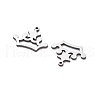 201 Stainless Steel Charms STAS-V001-20-1