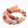 Natural Sardonyx Beads Strands G-K155-D-14mm-01-2