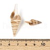 Natural Spiral Shell Beads SSHEL-N040-03-3