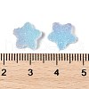 Imitation Candy Food Style Resin Cabochons X1-RESI-R461-02D-3